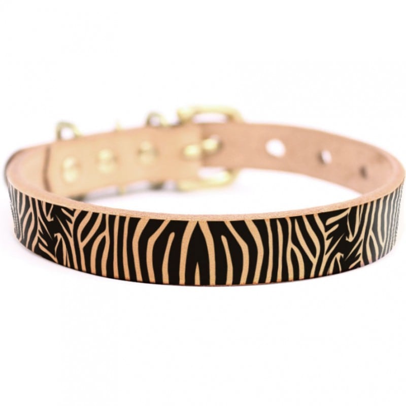 Framer アートなグラフィック本革首輪　真鍮無垢金具 サイズSSS～LL ベルト幅16mm/12mm/24mm #23059