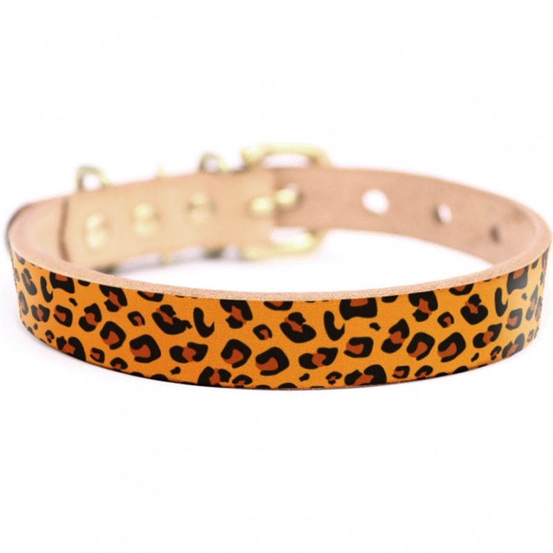 Framer アートなグラフィック本革首輪　真鍮無垢金具 サイズSSS～LL ベルト幅16mm/12mm/24mm #23060