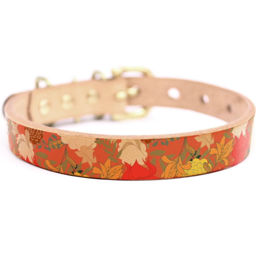 Framer アートなグラフィック本革首輪　真鍮無垢金具 サイズSSS～LL ベルト幅16mm/12mm/24mm #23138