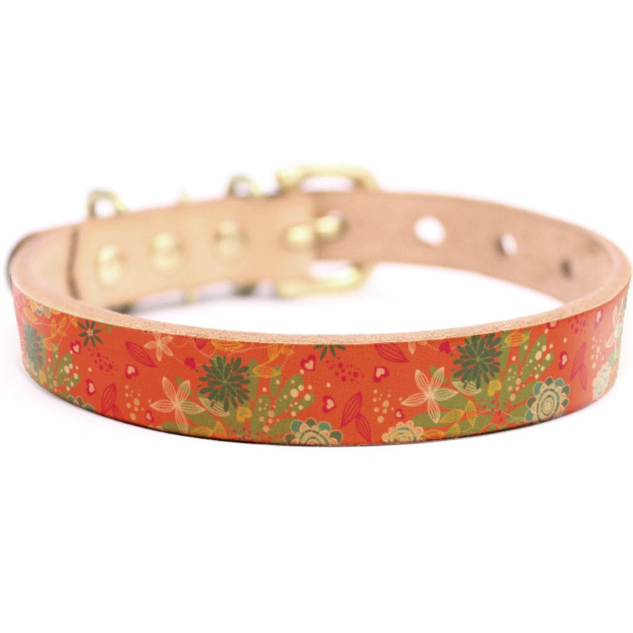 Framer アートなグラフィック本革首輪　真鍮無垢金具 サイズSSS～LL ベルト幅16mm/12mm/24mm #23154