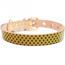 Framer アートなグラフィック本革首輪　真鍮無垢金具 サイズSSS～LL ベルト幅16mm/12mm/24mm #23169