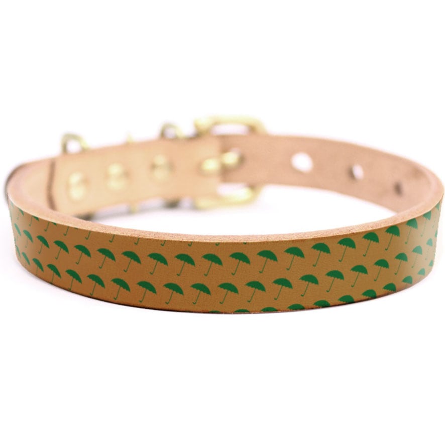 Framer アートなグラフィック本革首輪　真鍮無垢金具 サイズSSS～LL ベルト幅16mm/12mm/24mm #23180