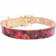 Framer アートなグラフィック本革首輪　真鍮無垢金具 サイズSSS～LL ベルト幅16mm/12mm/24mm #23299