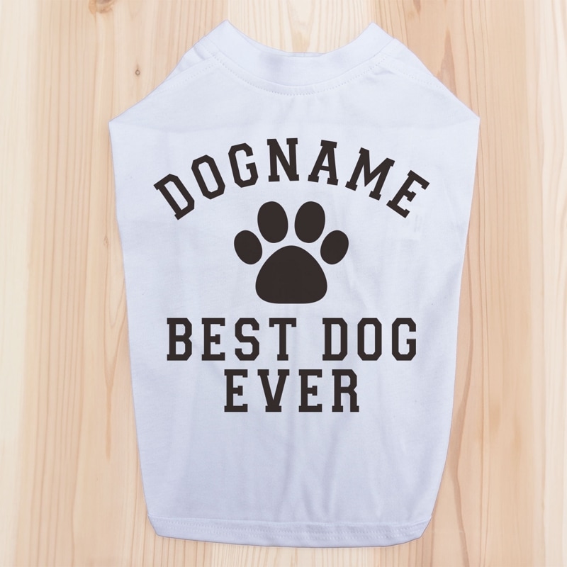 本革首輪・おしゃれ首輪の サクラ犬具製作所 / ペット服