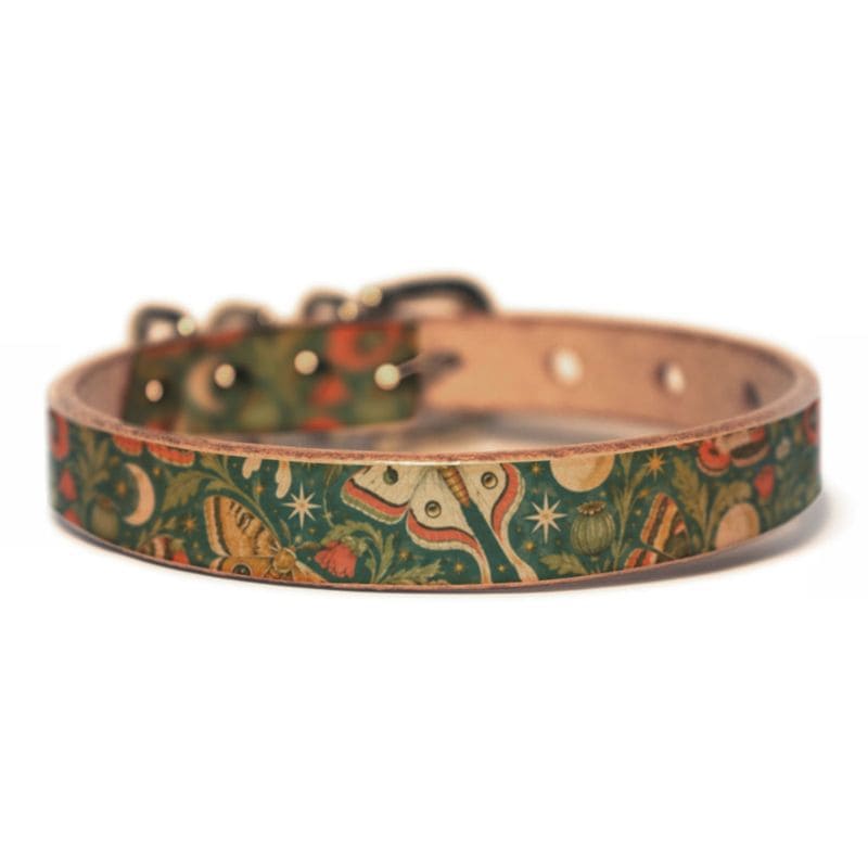犬用首輪 本革ヌメ革 真鍮金具 月と蛾のボタニカル柄 グリーン Framer #N00093