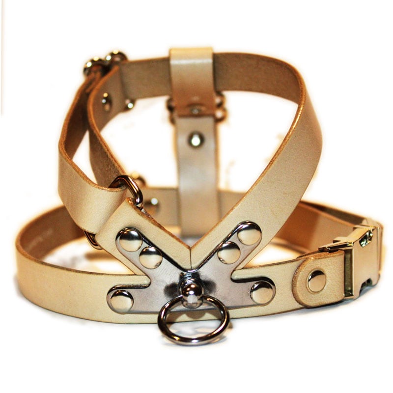 SAKURA DOGWARE ヌメ革　メタルバックル　胴囲31-46cm/約2-7kg 本革ハーネス