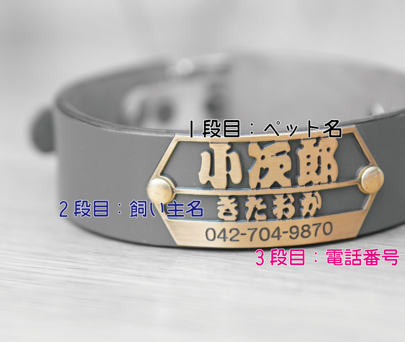 切り文字彫刻真鍮プレート付　おなまえ首輪　名入れ・電話番号　本革首輪　真鍮無垢金具 サイズSS～L ベルト幅30mm #xt1001