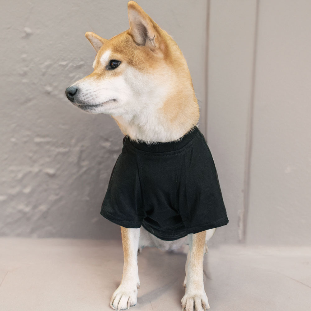 SAKURA DOGWARE FACTORY 名入れ　ペット用Tシャツ(小型犬・パピー・中大型犬・猫用) 綿100% 77005