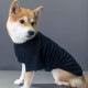 SAKURA DOGWARE FACTORY 名入れ　ペット用Tシャツ(小型犬・パピー・中大型犬・猫用) 綿100% 77005