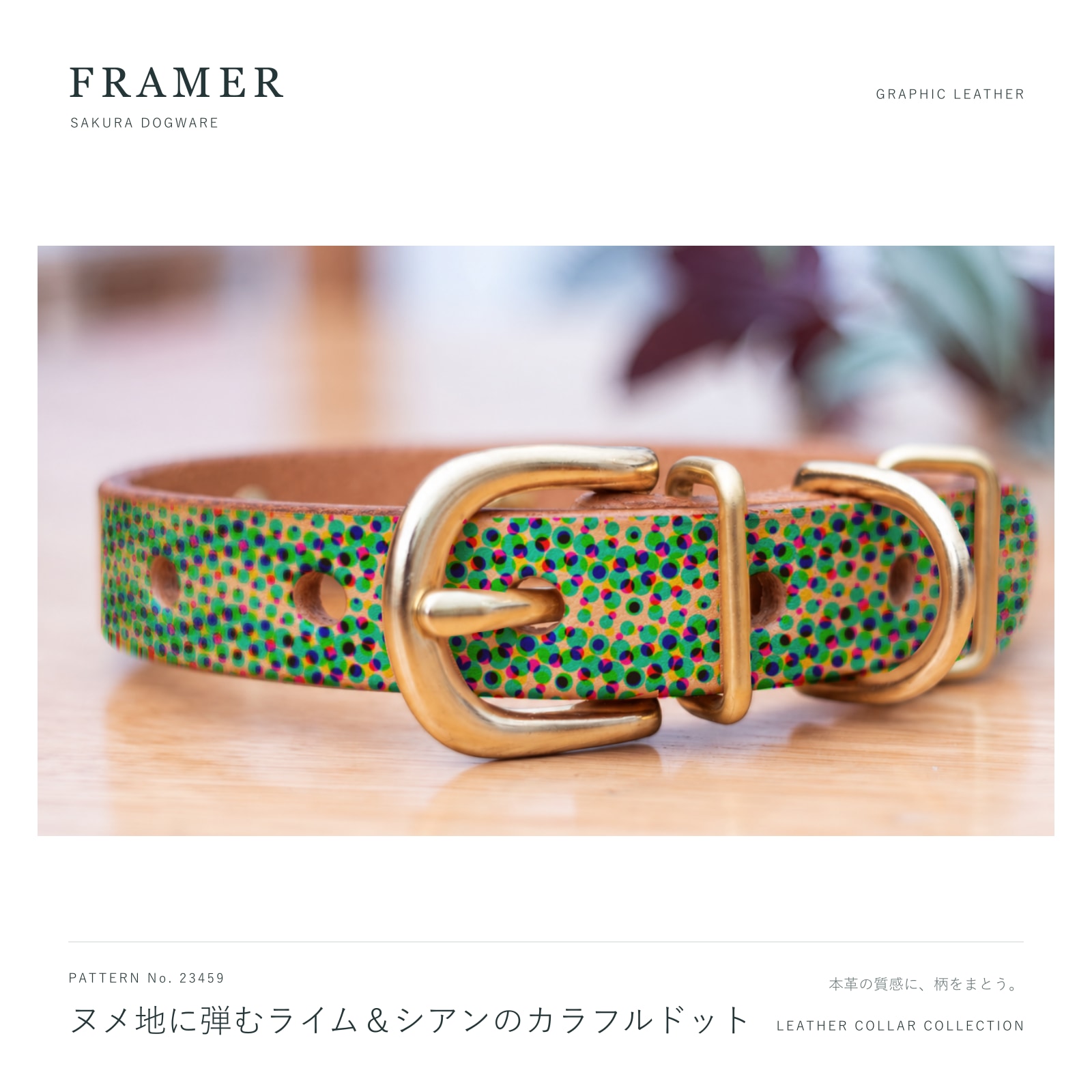 Framer 犬用首輪 本革・ヌメ革 真鍮金具 ヌメ地にライム＆シアンのカラフルドット #23459