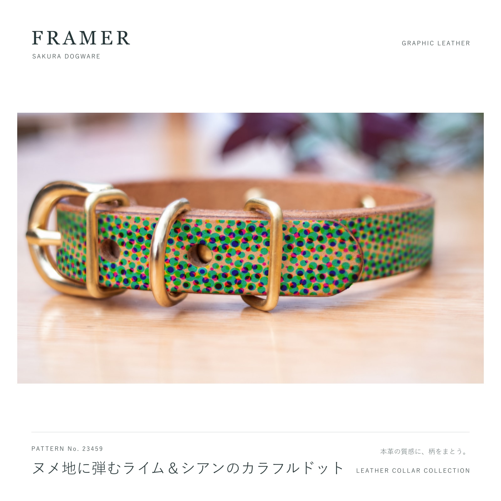 Framer 犬用首輪 本革・ヌメ革 真鍮金具 ヌメ地にライム＆シアンのカラフルドット #23459