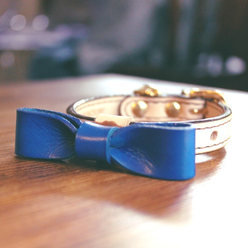 本革首輪・おしゃれ首輪・迷子札首輪の サクラ犬具製作所 / [受注生産2