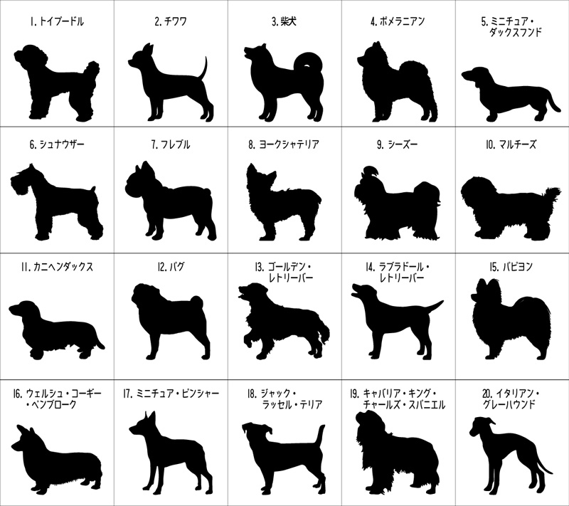 SAKURA DOGWARE FACTORY 名入れ　ユニセックス　ロンT　40犬種からえらべるシルエット 9001