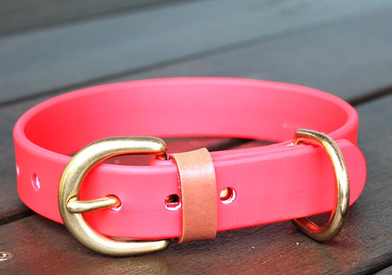 【サクラ犬具製作所オリジナル】名入れエアタグホルダー付きアウトドア首輪　16mm 24mm 防水性・柔軟性・耐久性に優れたハイテク素材の犬用首輪　長さもセミオーダーOK