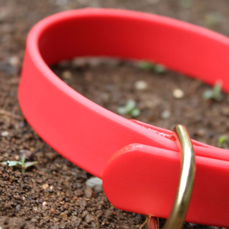 【サクラ犬具製作所オリジナル】名入れエアタグホルダー付きアウトドア首輪　16mm 24mm 防水性・柔軟性・耐久性に優れたハイテク素材の犬用首輪　長さもセミオーダーOK