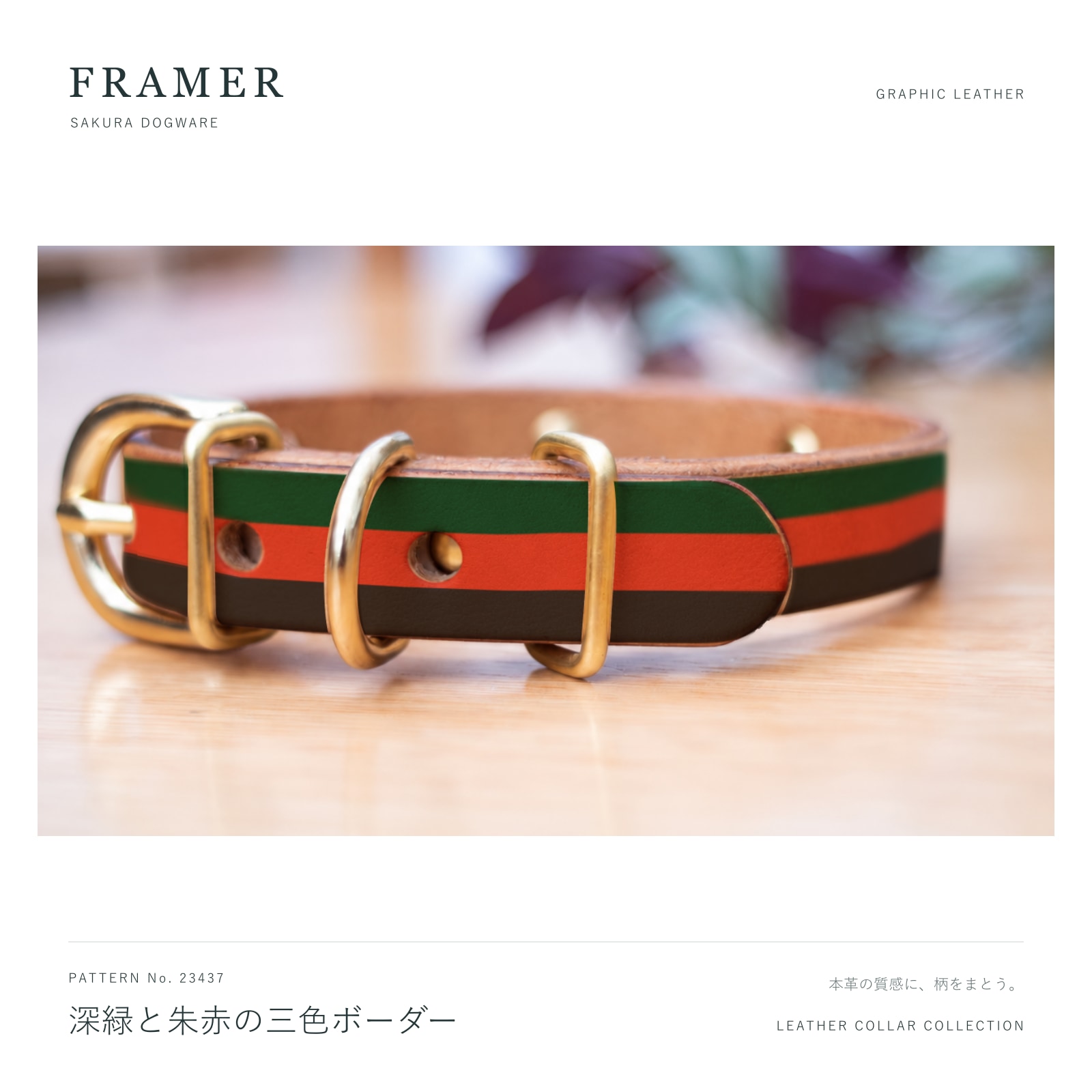 Framer 犬用首輪 本革・ヌメ革 真鍮金具 深緑・朱赤・黒の三色ボーダー #23437