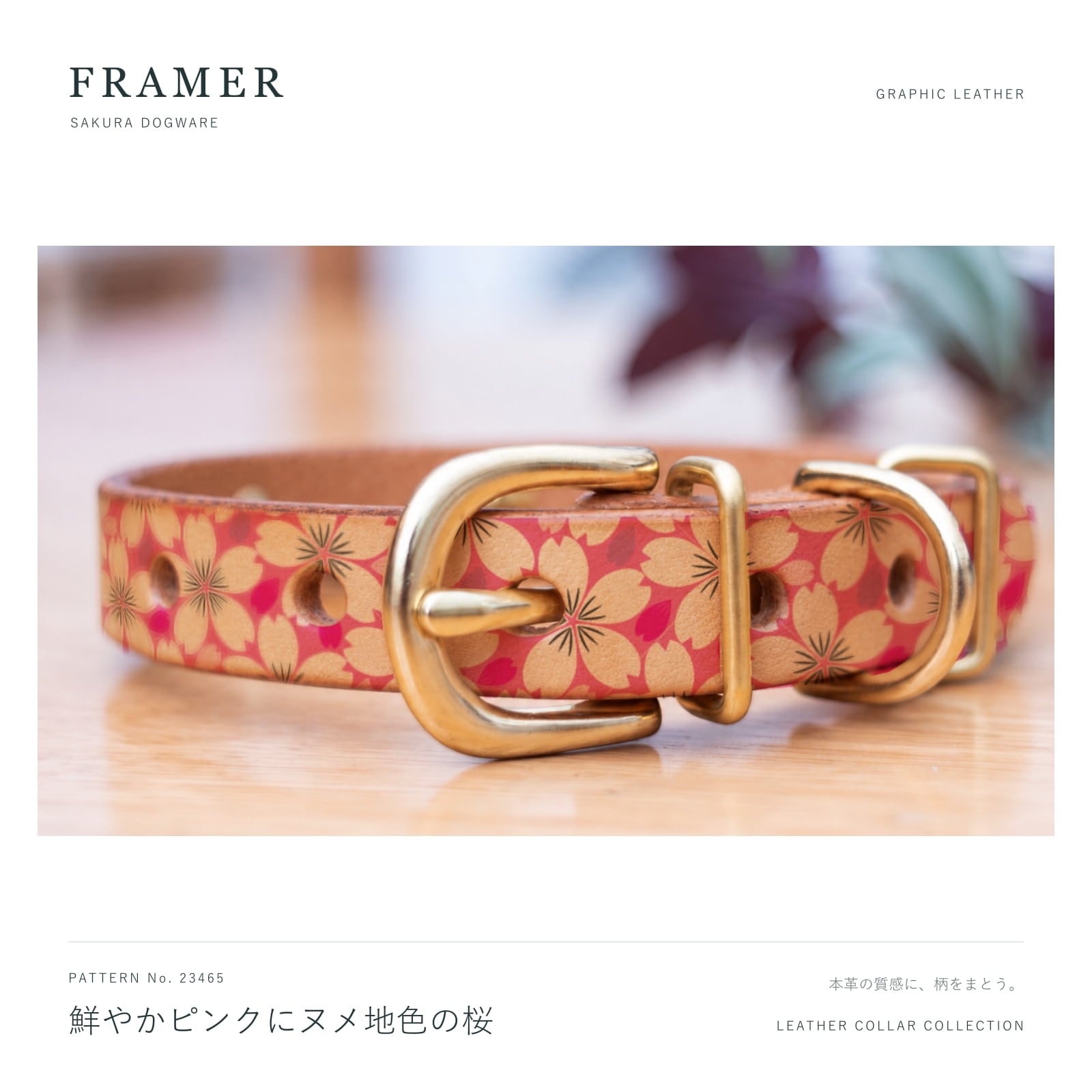 Framer 犬用首輪 本革・ヌメ革 真鍮金具 鮮やかピンクにヌメ地色の桜柄 #23465