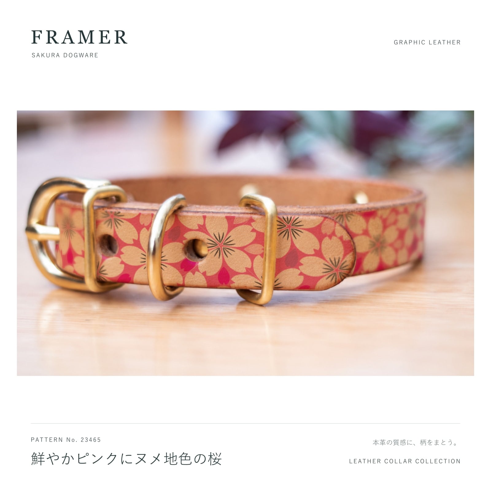 Framer 犬用首輪 本革・ヌメ革 真鍮金具 鮮やかピンクにヌメ地色の桜柄 #23465