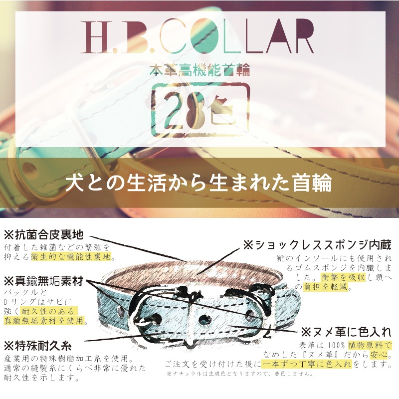 [#A71XX]サクラ犬具製作所　本革H.B.カラー　抗菌・ショックレスパッド高機能首輪　全28色 日本製　小型・中型犬に最適