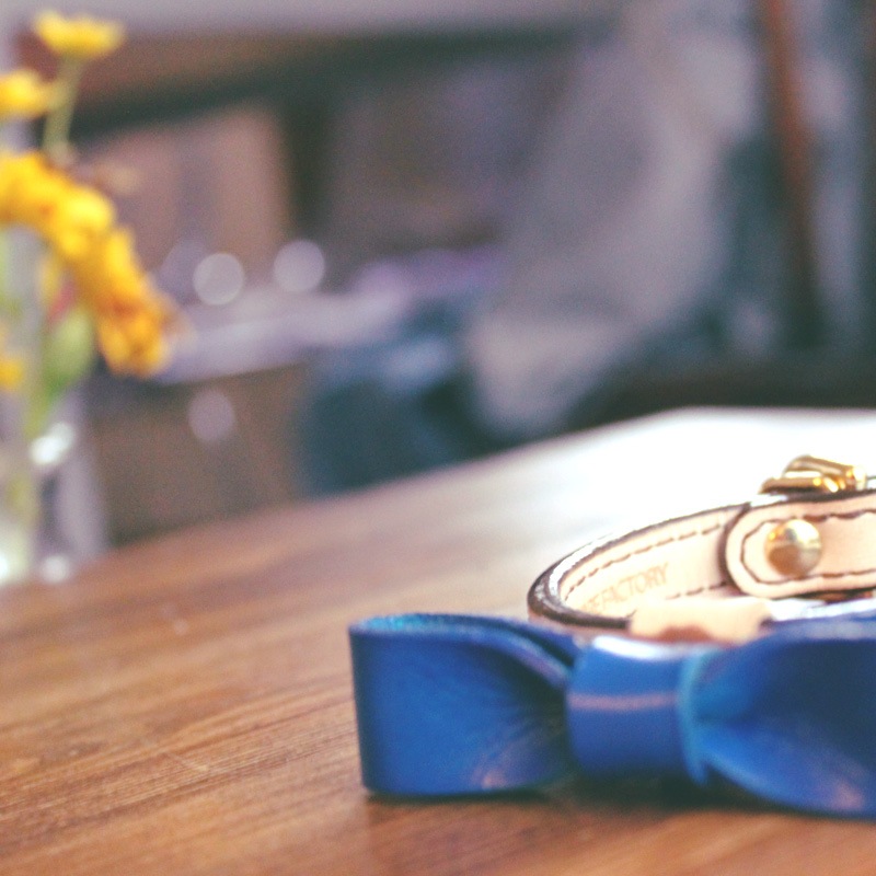 本革首輪・おしゃれ首輪・迷子札首輪の サクラ犬具製作所 / [受注生産2