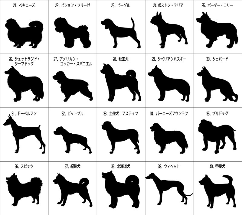 SAKURA DOGWARE FACTORY 名入れ　ユニセックス HUNTING DOG COLLEGE　Tシャツ 　40犬種からえらべるシルエット 6089