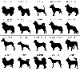 SAKURA DOGWARE FACTORY 名入れ　ユニセックス HUNTING DOG COLLEGE　Tシャツ 　40犬種からえらべるシルエット 6089