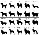 SAKURA DOGWARE FACTORY 名入れ　ユニセックス HUNTING DOG COLLEGE　Tシャツ 　40犬種からえらべるシルエット 6089