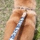 サクラ模様リード　真鍮製ナスカン　　小・中・大型犬用16/24mm幅　持ち手ヌメ革　　A2681
