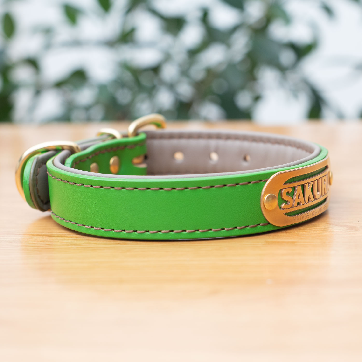 【立体彫刻】真鍮無垢ネームプレート付き 本革首輪 25mm｜ローラーバックル｜抗菌クッション｜中型・大型犬 全28色 日本製 サクラ犬具製作所 [#HBW243D-25mm]