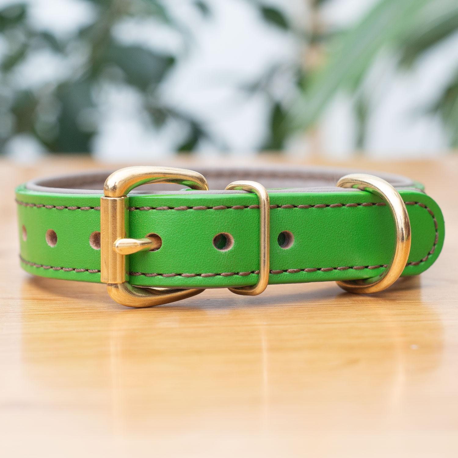 【立体彫刻】真鍮無垢ネームプレート付き 本革首輪 25mm｜ローラーバックル｜抗菌クッション｜中型・大型犬 全28色 日本製 サクラ犬具製作所 [#HBW243D-25mm]