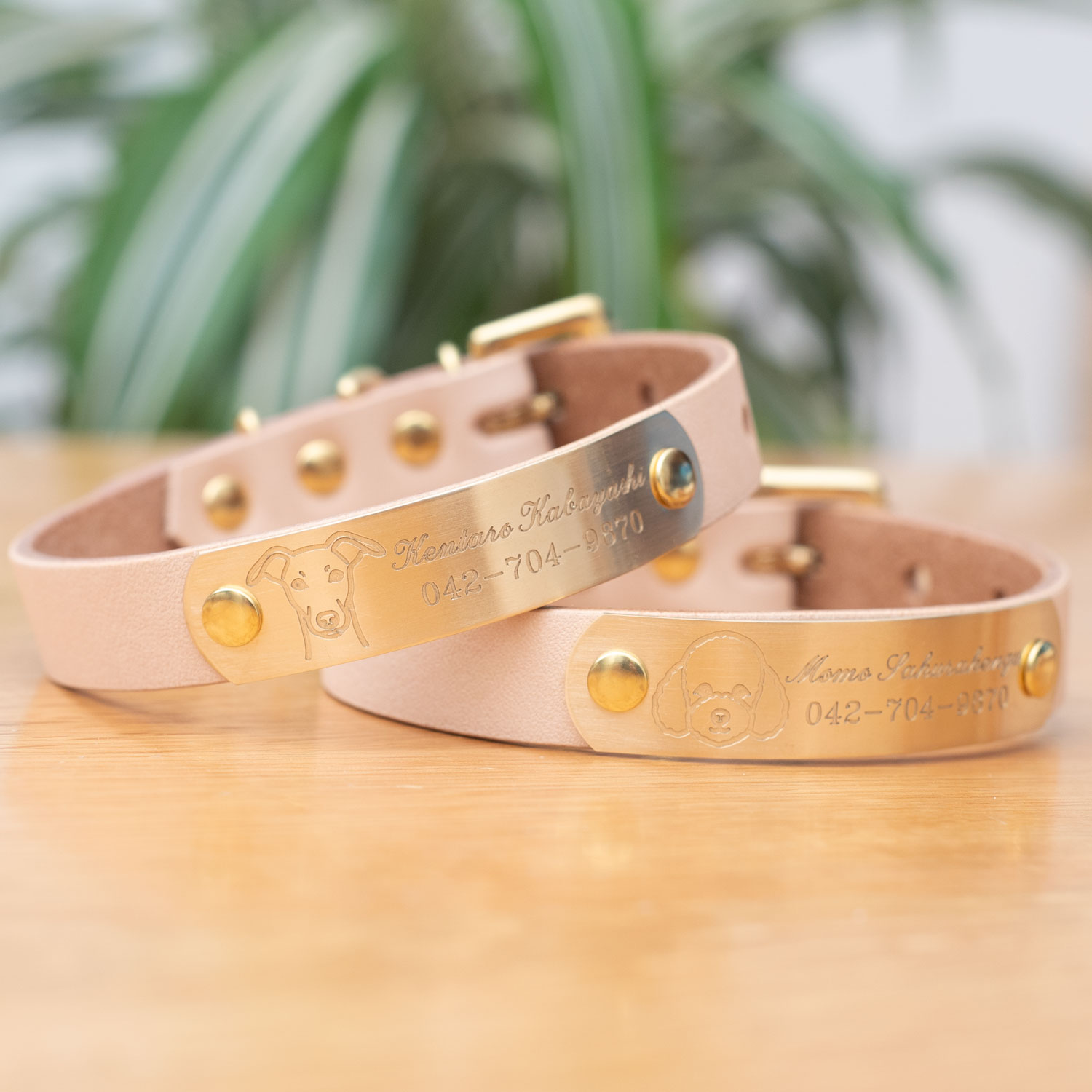 犬種別顔アイコン　切削彫刻　迷子札付首輪　おなまえ首輪　真鍮彫刻プレート付　本ヌメ革/本革　手仕上げ　　真鍮金具　首輪(小型犬・中型犬・大型犬)　A88900 