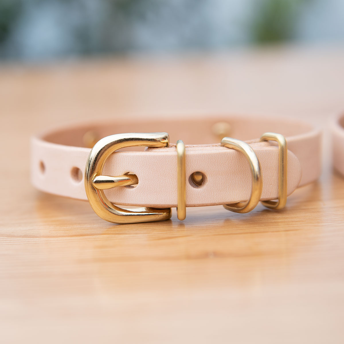 犬種別顔アイコン　切削彫刻　迷子札付首輪　おなまえ首輪　真鍮彫刻プレート付　本ヌメ革/本革　手仕上げ　　真鍮金具　首輪(小型犬・中型犬・大型犬)　A88900 