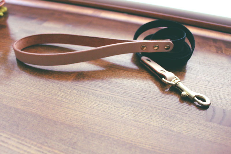 犬種別顔アイコン　切削彫刻　迷子札付首輪　おなまえ首輪　真鍮彫刻プレート付　本ヌメ革/本革　手仕上げ　　真鍮金具　首輪(小型犬・中型犬・大型犬)　A88900 