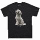 SAKURA DOGWARE FACTORY 名入れ　ユニセックス　Tシャツ　トイプードル　6155