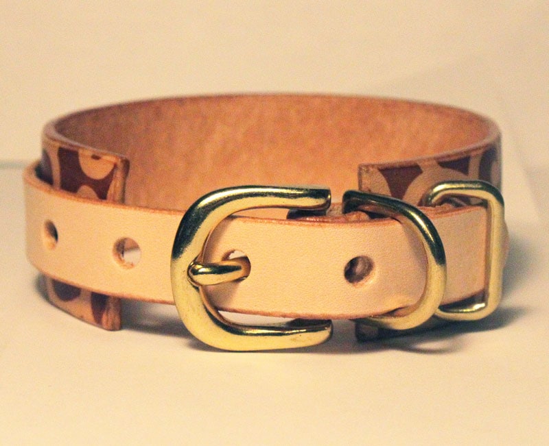大唐草　全6色　Framer WIDE グラフィック手仕上げ　本革首輪　真鍮無垢金具 サイズSS～LL ベルト幅30mm/40mm #33ooka