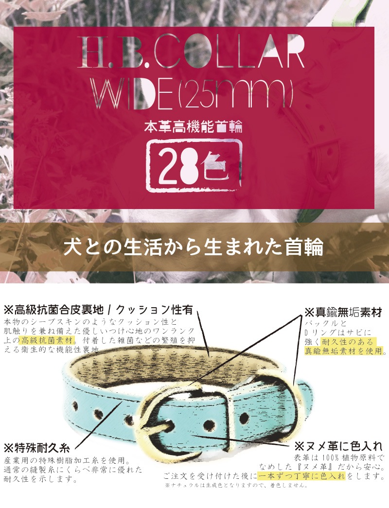 [#A71XX-WIDE25mm]サクラ犬具製作所　本革H.B.カラーワイド　中型・大型犬用　抗菌・ショックレスパッド高機能首輪　全28色 日本製　中大型犬に最適-