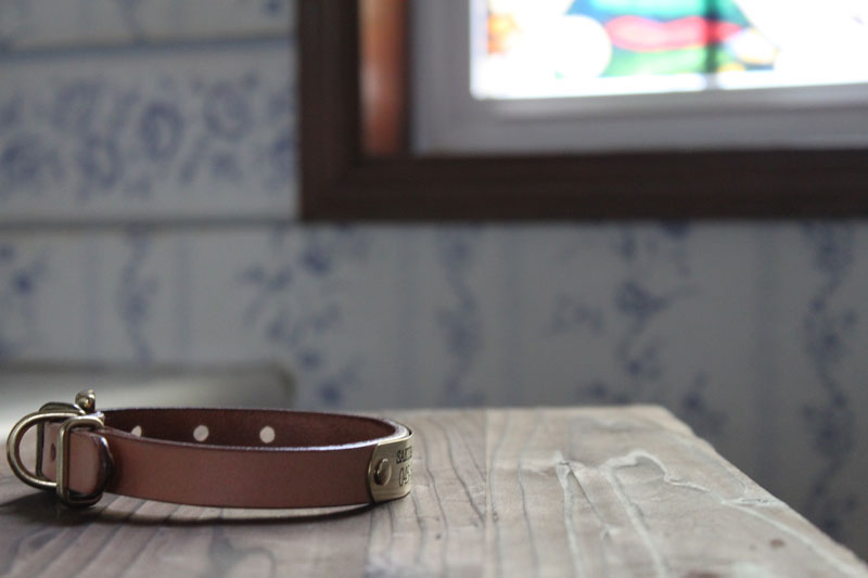 迷子札付首輪　おなまえ首輪　真鍮彫刻プレート付　本ヌメ革/本革　手仕上げ　　真鍮金具　首輪(小型犬・中型犬)　A88890 (SS～Lサイズ　3-14kg)