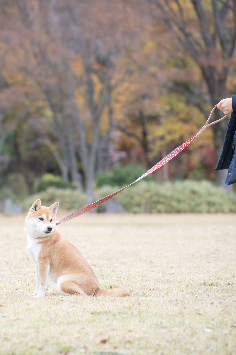 リバーシブル唐草模様リード　真鍮製ナスカン　　小・中・大型犬用16/24mm幅　持ち手ヌメ革　　A2680