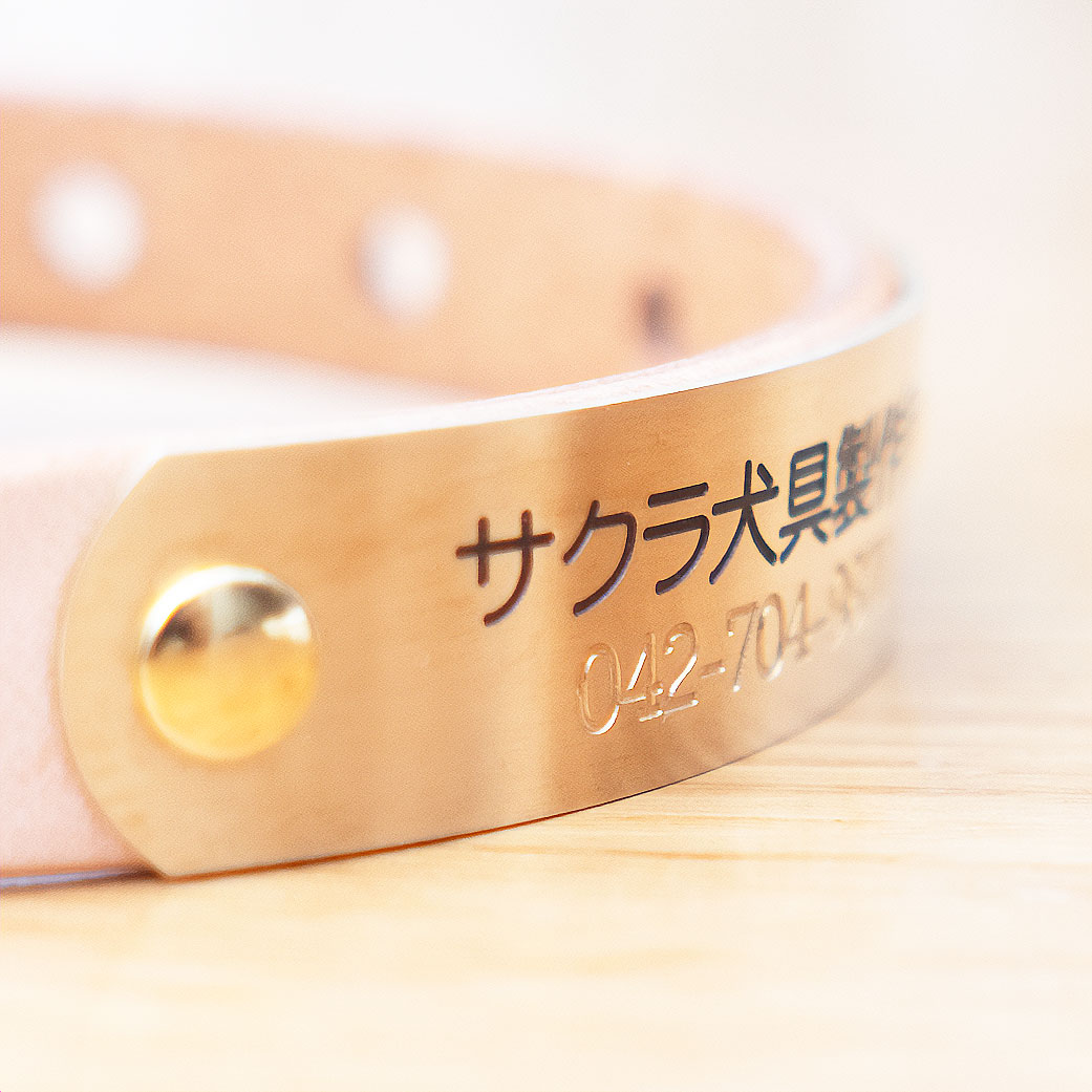 おなまえ首輪 ～電話番号は小さく！名前が大きく目立つ！～ 真鍮彫刻プレート付本革 首輪 (小型犬・中型犬)　A888908 (SS～Lサイズ　3-14kg)