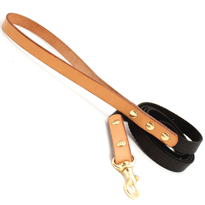 超小型犬　猫　用　12mm幅　おなまえ首輪　真鍮彫刻プレート　本ヌメ革/本革　手仕上げ　　真鍮金具　首輪(小型犬・超小型犬)　AS8888