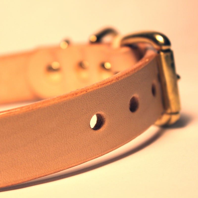 [中・大型犬用]おなまえ首輪　名前電話番号レーザー彫刻　本ヌメ革/本革　手仕上げ　　真鍮金具　首輪(小型犬・中型犬)　A88895 (L～LLサイズ)