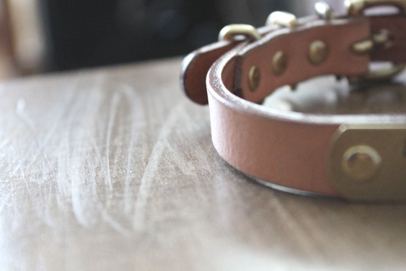 迷子札付首輪　おなまえ首輪　真鍮彫刻プレート付　本ヌメ革/本革　手仕上げ　　真鍮金具　首輪(小型犬・中型犬)　A88890 (SS～Lサイズ　3-14kg)