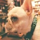 サクラ犬具製作所　滑らかソフト首輪　唐草模様(赤色)