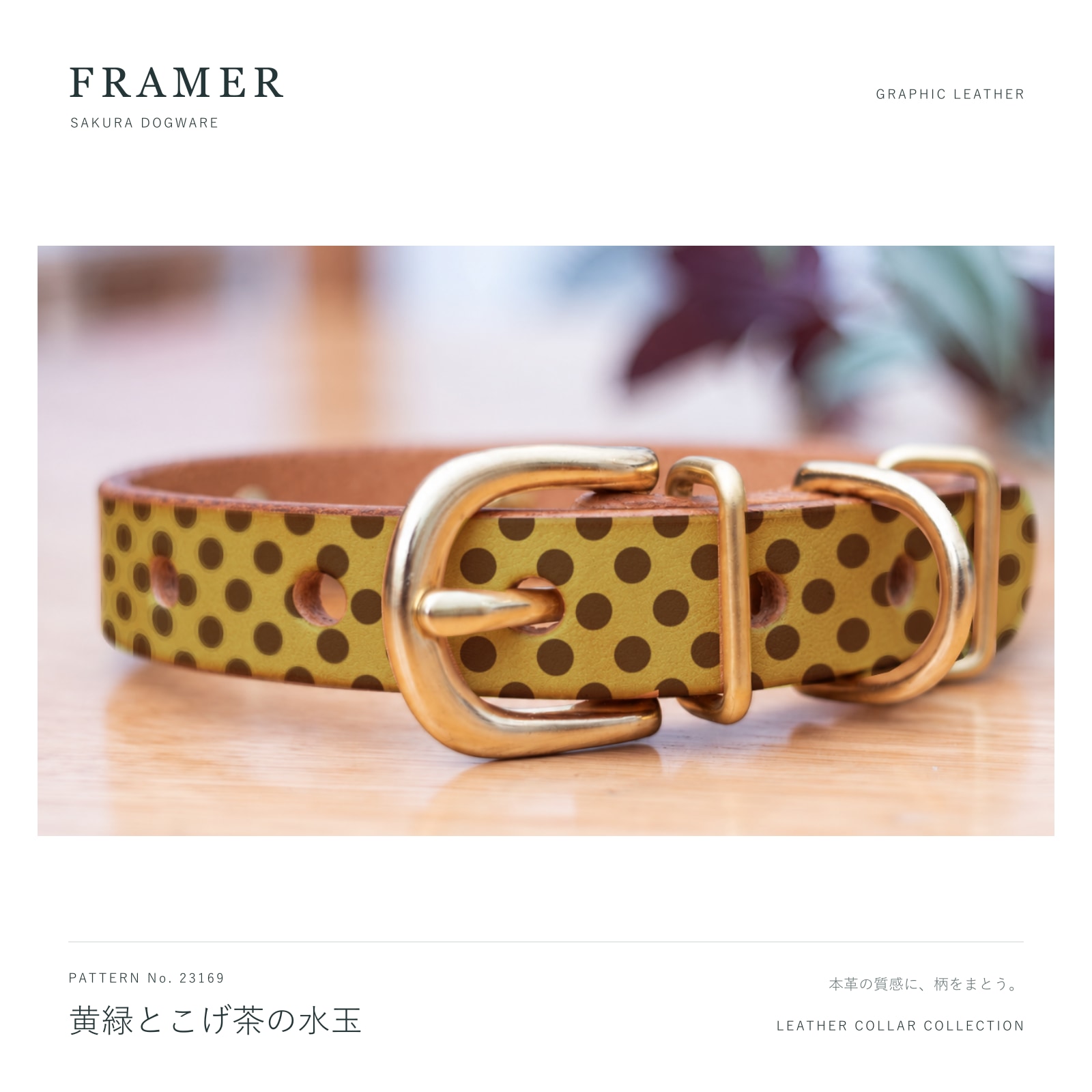 Framer 犬用首輪 本革・ヌメ革 黄緑とこげ茶の水玉柄 真鍮金具 #23169