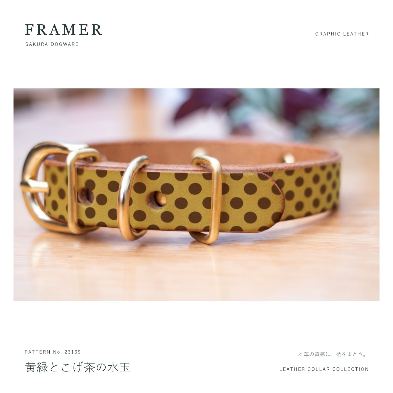 Framer 犬用首輪 本革・ヌメ革 黄緑とこげ茶の水玉柄 真鍮金具 #23169