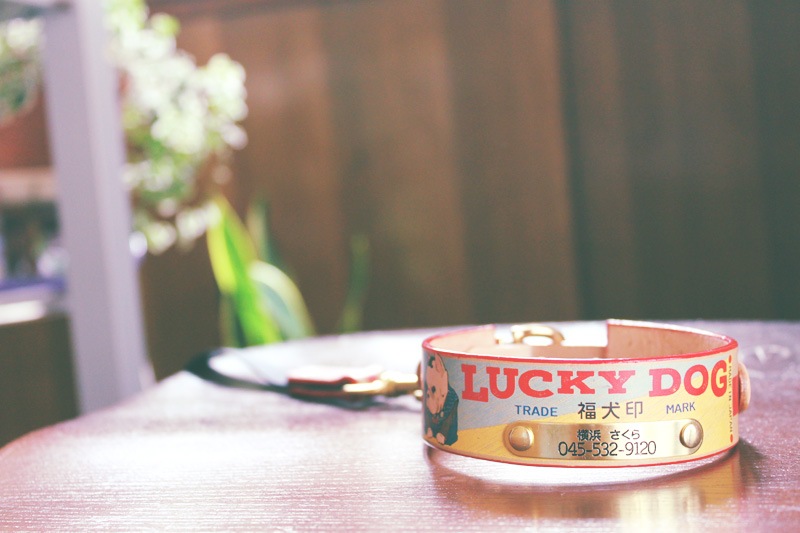 彫刻真鍮プレート付　おなまえ首輪　名入れ・電話番号　グラフィックプリント『Lucky Dog/福犬印』　本革首輪　真鍮無垢金具 サイズSS～L ベルト幅30mm #33044