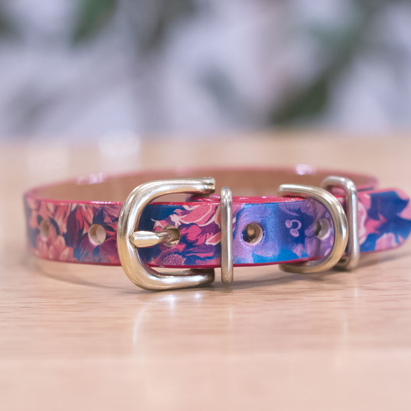 Framer　エッジカラー(マゼンタ)　アートなグラフィック本革首輪　パープルフラワー　真鍮無垢金具 サイズSS～L ベルト幅16mm #23478