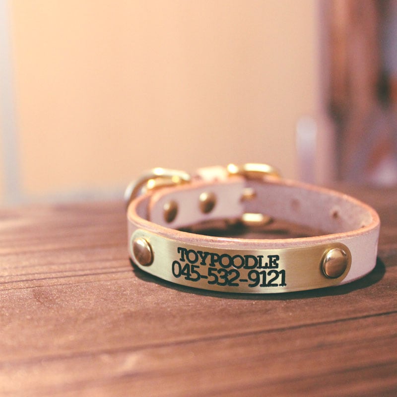 超小型犬　猫　用　12mm幅　おなまえ首輪　真鍮彫刻プレート　本ヌメ革/本革　手仕上げ　　真鍮金具　首輪(小型犬・超小型犬)　AS8888