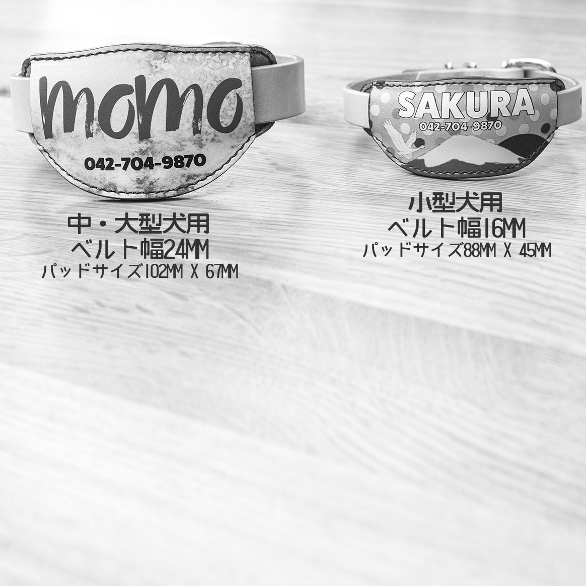 　本革パッド首輪 グラフィックNUMETHANE　引きの強い子に! おなまえ首輪　富士山　真鍮無垢金具 サイズSS～LLL  #5002