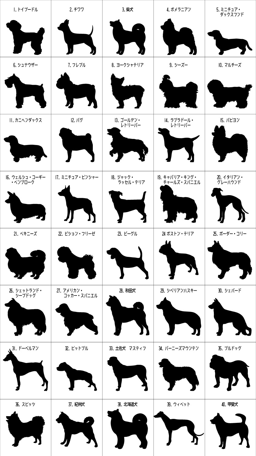 オーダーページ パネル スチームパンク マルチーズ 9/18